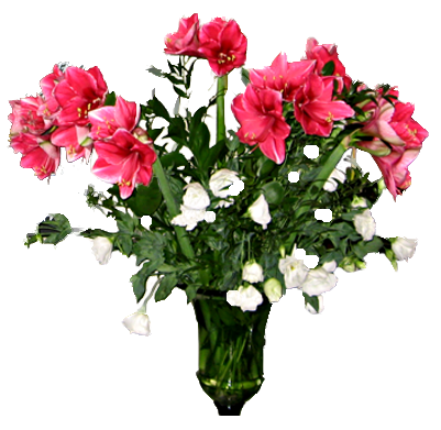 Index of /image/Download/flowers png